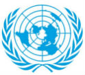 The summit will be the UN's first on chronic diseases. Image of The summit will be the UN's first on chronic diseases.