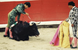 For many in Catalonia, bullfighting has lost its attraction. Image of For many in Catalonia, bullfighting has lost its attraction.