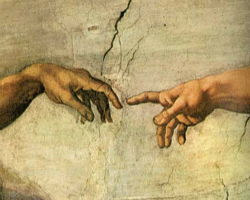 The Creation The Creation