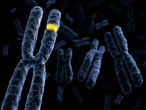 Relatives of women with hereditary breast cancer can breathe a sigh of relief. Image of Relatives of women with hereditary breast cancer can breathe a sigh of relief.