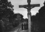 Image of
