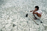 Indian farmers are facing diminishing returns on their crops and have nowhere to turn for help. Image of Indian farmers are facing diminishing returns on their crops and have nowhere to turn for help.