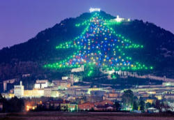 The largest Christmas tree in the world found at Gubbio, Italy The largest Christmas tree in the world found at Gubbio, Italy