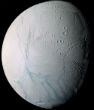 The ice world of Enceladus where ice covers an ocean rich in organic molecules -- and possibly life? Image of The ice world of Enceladus where ice covers an ocean rich in organic molecules -- and possibly life?
