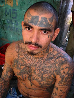 Liveleakcom - Torture Inc Americas Brutal Prisons