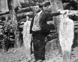 Image of