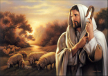Image of