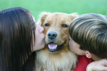 There are a lot of volunteer opportunities for kids. Walking dogs, feeding the homeless, cleaning up, opportunities abound! Image of There are a lot of volunteer opportunities for kids. Walking dogs, feeding the homeless, cleaning up, opportunities abound!