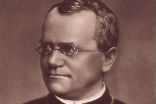 Gregor Mendel, an Augustinian friar regarded as the father of modern genetics. Image of Gregor Mendel, an Augustinian friar regarded as the father of modern genetics.