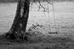 Emptiness is an Invitation. A Reflection On Life's Emptiness: Friend or Foe? - Living Faith - Home & Family - News - Vimarsana News