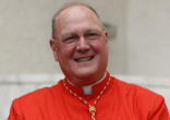 Timothy Cardinal Dolan Image of Timothy Cardinal Dolan