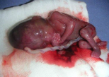 This is not our freedom or our choice or our Image of This is not our freedom or our choice or our