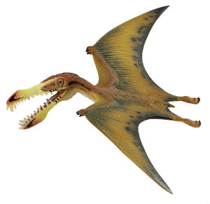raeticodactylus