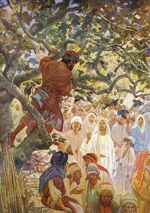 Zachaeus in the Sycamore tree Zachaeus in the Sycamore tree