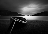 Image of