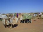Refugees live in makeshift camps such as these and are especially susceptible to mosquito borne illnesses. Image of Refugees live in makeshift camps such as these and are especially susceptible to mosquito borne illnesses.