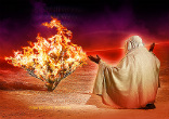 Image of