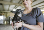 Hope with one of her rescuers. Image of Hope with one of her rescuers.