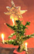 Kent's Christmas tree, which he hid from the Nazis and has faithfully lit for the past 58 years. Image of Kent's Christmas tree, which he hid from the Nazis and has faithfully lit for the past 58 years.