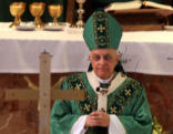 Cardinal Francis George, O.M.I.
Image of Cardinal Francis George, O.M.I.