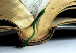 Image of