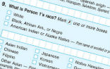 The current census form contains the word Negro. this will soon be changed. Image of The current census form contains the word Negro. this will soon be changed.