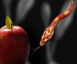 Temptation must be resisted and can be overcome Temptation must be resisted and can be overcome