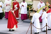 Pope Francis blessing the Palm branches and the faithful Image of Pope Francis blessing the Palm branches and the faithful