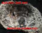 Whatcha gonna do when they come for you? Image of Whatcha gonna do when they come for you?
