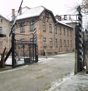 Auschwitz was the largest and most famous of the Nazi concentration camps, but a new study says it was just one of a total of 980 across Europe. Auschwitz was the largest and most famous of the Nazi concentration camps, but a new study says it was just one of a total of 980 across Europe.
