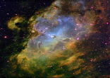 Image of