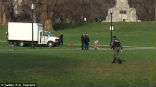 A man was taken into custody after the attack. It is unknown if the unidentified individual was a suspect related to the attack. Image of A man was taken into custody after the attack. It is unknown if the unidentified individual was a suspect related to the attack.