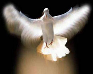 The Holy Spirit The Holy Spirit