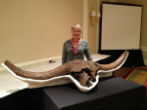 This image of an Ice Age bison skill from the Denver museum shows how much larger the prehistoric bison were. Image of This image of an Ice Age bison skill from the Denver museum shows how much larger the prehistoric bison were.