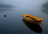 Image of
