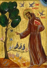 The simple approach of Francis of Assisi, receiving creation as a gift and living in a relational way with creatio, still challenges me all these years later. Image of The simple approach of Francis of Assisi, receiving creation as a gift and living in a relational way with creatio, still challenges me all these years later.