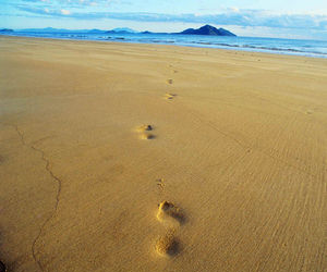 Footprints through the Sand Footprints through the Sand