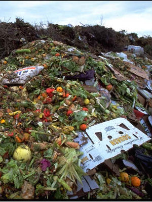 Some households waste food because they buy too much, do not store it properly, or fail to eat it before the expiration date. Some households waste food because they buy too much, do not store it properly, or fail to eat it before the expiration date.