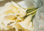 Image of