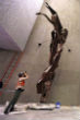 Can you see it in this image? Close ups are below. Image of Can you see it in this image? Close ups are below.