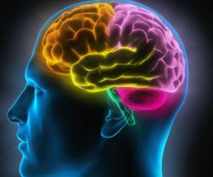 People at a higher risk of depression also had thinning cortices, compared to those with lower depression risk. People at a higher risk of depression also had thinning cortices, compared to those with lower depression risk.