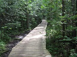 Image of