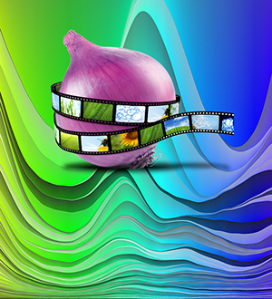 'Peeling away the layers of the onion' or removing the layers that cover any topic until you get down to the basics, It means not just looking at the surface issue, but digging deeper. You might be very surprised by what you find. 'Peeling away the layers of the onion' or removing the layers that cover any topic until you get down to the basics, It means not just looking at the surface issue, but digging deeper. You might be very surprised by what you find.