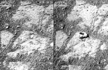 The before and after image that shows where the mysterious rock appeared. Image of The before and after image that shows where the mysterious rock appeared.