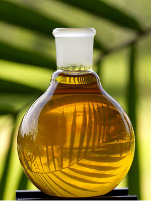 Palm oil is an ingredient used in a huge range of consumer products, from food and fuel to beauty products and cleaning agents. Palm oil is an ingredient used in a huge range of consumer products, from food and fuel to beauty products and cleaning agents.
