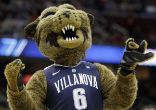 The Villanova wildcat mascot urges his team to victory. Image of The Villanova wildcat mascot urges his team to victory.