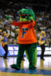 University of Florida has advanced into the Image of University of Florida has advanced into the