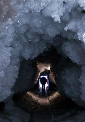 The discovery has sparked concern that increased mining and oil drilling in rapidly warming northern latitudes could widely deploy the virus into the earth's atmosphere. The discovery has sparked concern that increased mining and oil drilling in rapidly warming northern latitudes could widely deploy the virus into the earth's atmosphere.