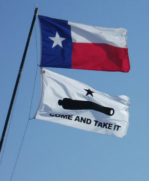 Texans are rallying against the federal government and its habitual overreach. Texans are rallying against the federal government and its habitual overreach.