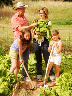 Children woking along parents to grow vegetables for the family. Image of Children woking along parents to grow vegetables for the family.